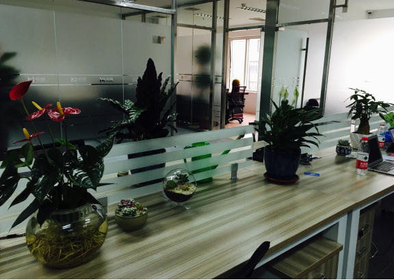 圖片9.png 圖片9.png